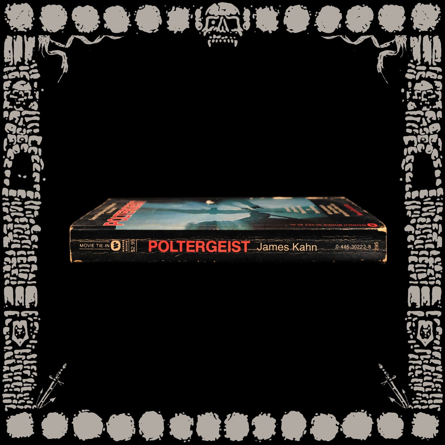 Poltergeist Paperback