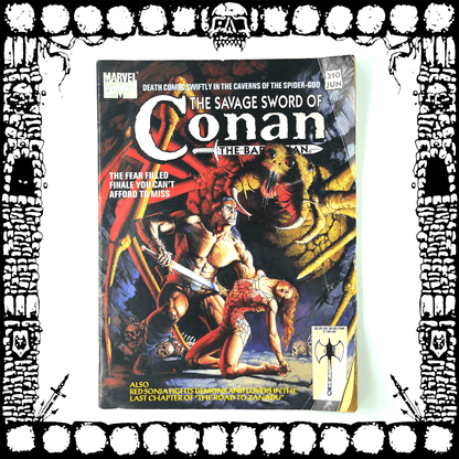 The Savage Sword of Conan #210 Comic Book